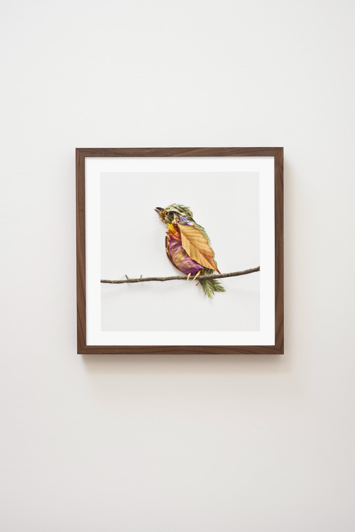 "Perched" Flower Print