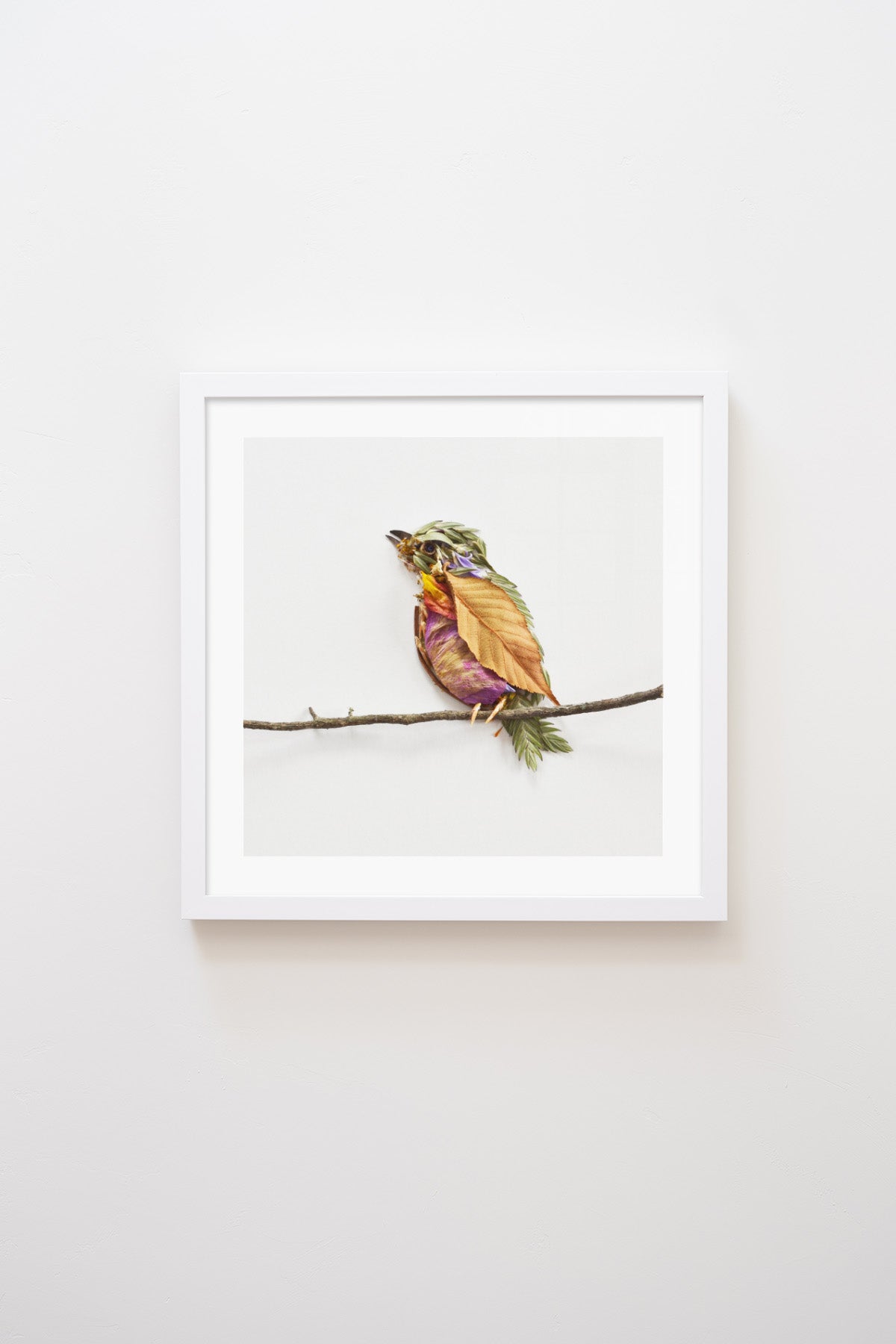 "Perched" Flower Print