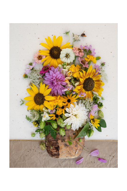 "Pocket of Sunshine" Flower Print