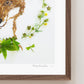 "Prince of the Forest" Flower Print