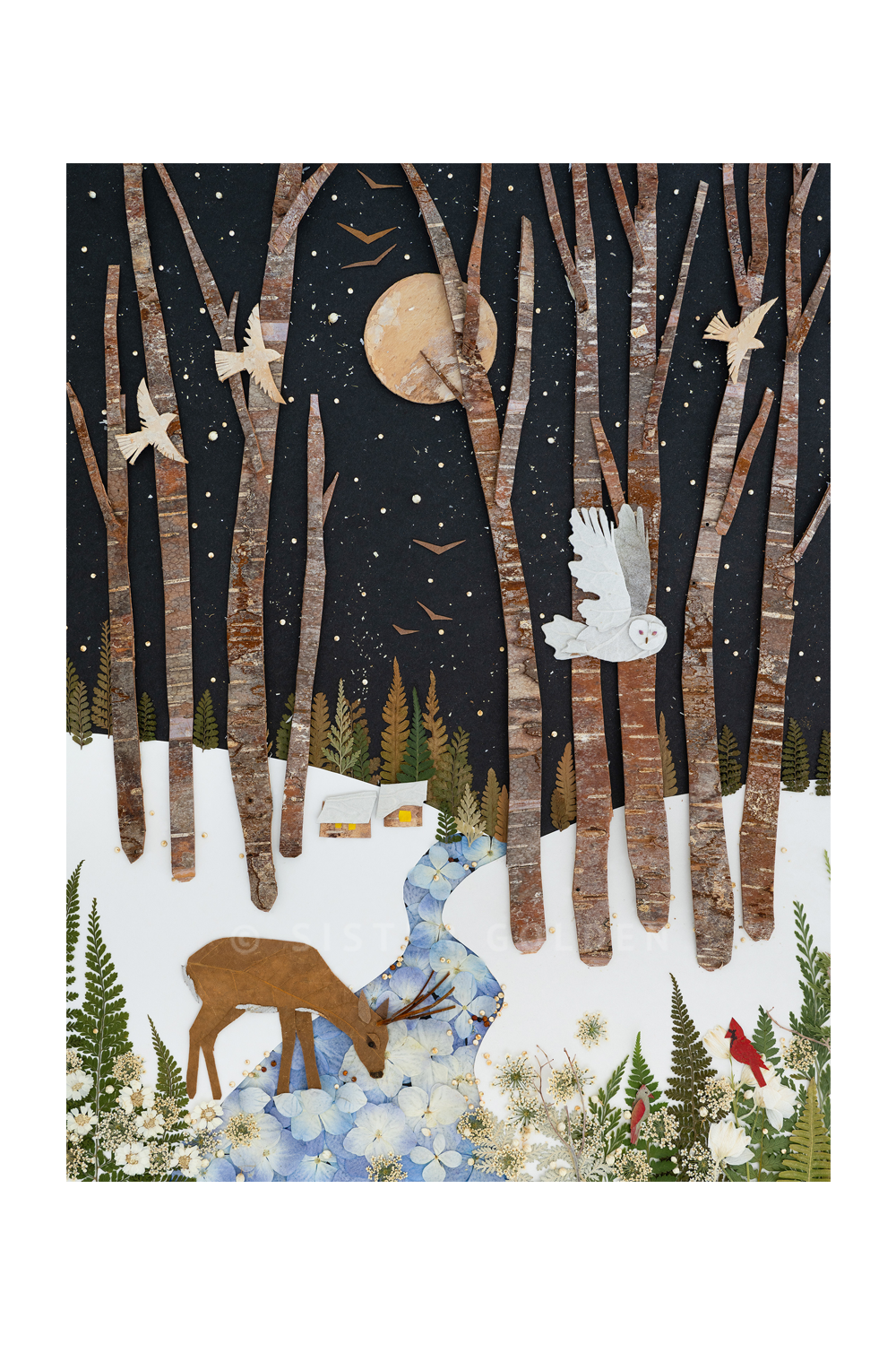 "Snowbird" Flower Print