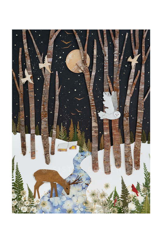 "Snowbird" Flower Print
