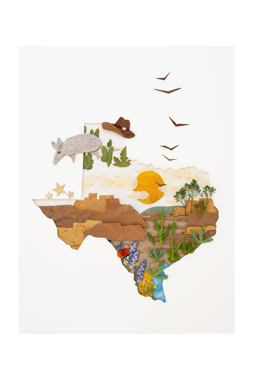 "Texas" Flower Print