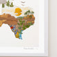 "Texas" Flower Print