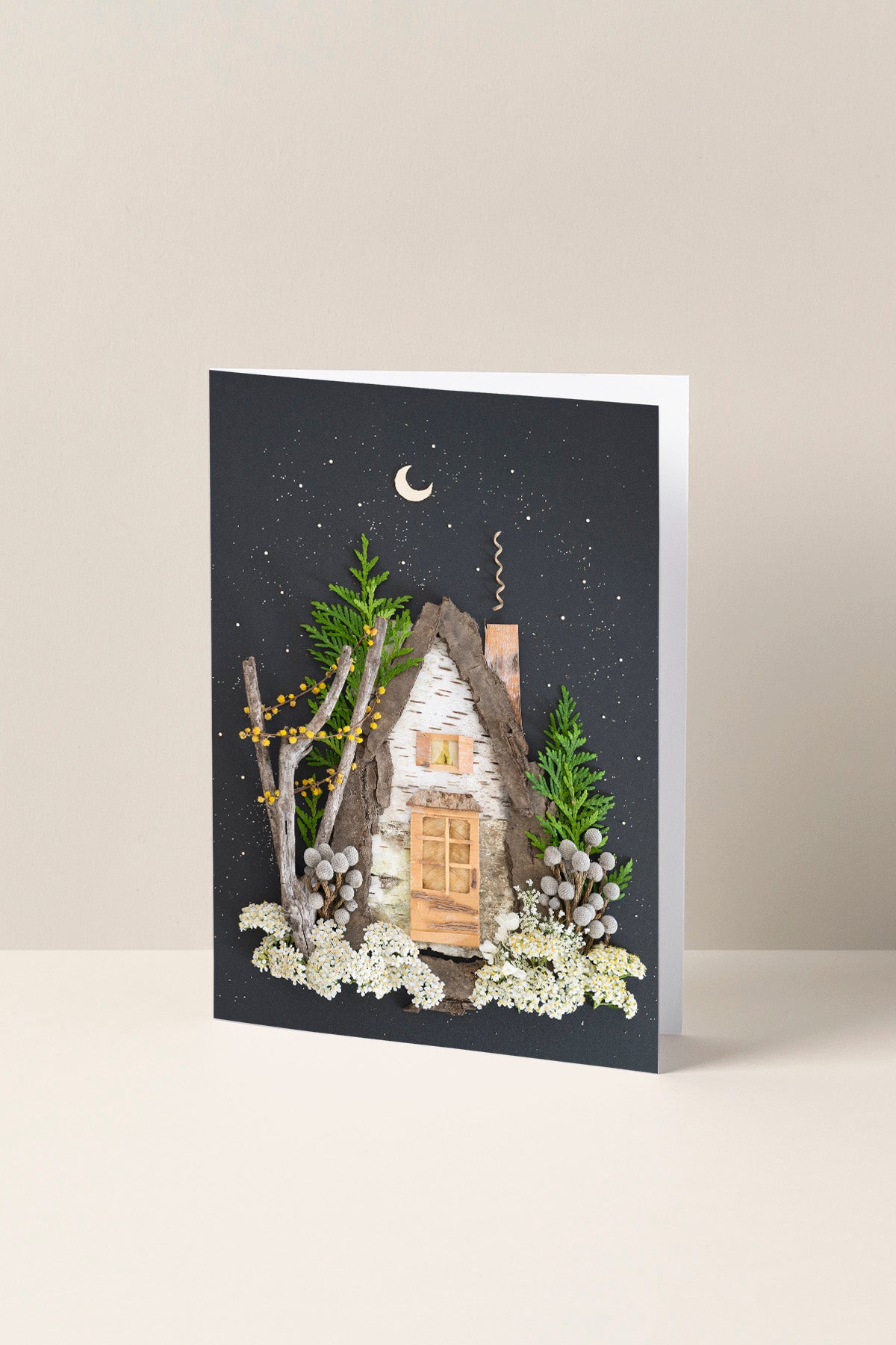 Holiday 12-Card Boxed Set