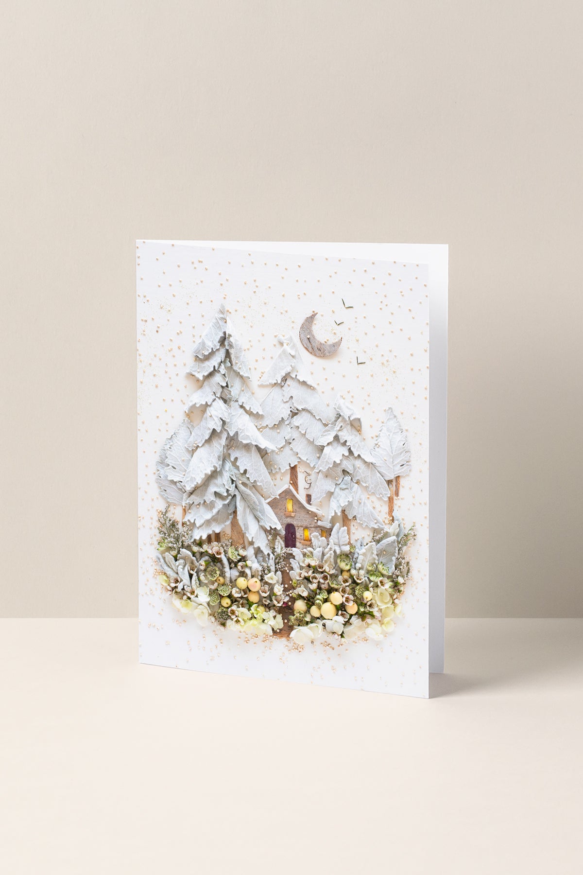 "Whiteout" Greeting Card