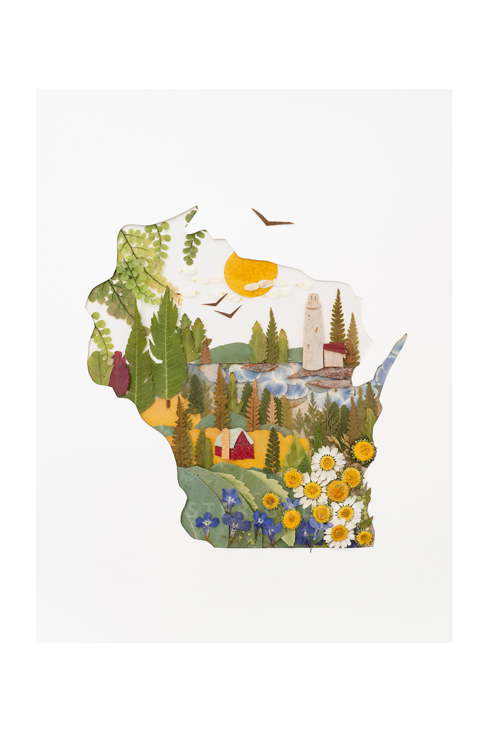 "Wisconsin" Flower Print