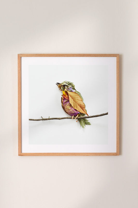 "Perched" Flower Print - Sister Golden